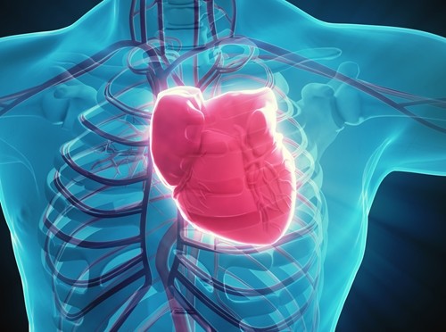 Researchers have looked further into the connection between atrial fibrillation and stroke and have found results that contradict previous knowledge of health care providers.